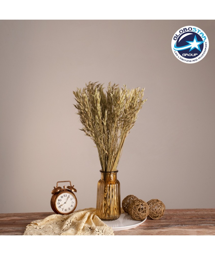 GloboStar® WILDOAT 36501 Αποξηραμένο Φυτό Αγριοβρώμη - Μπουκέτο Διακοσμητικών Κλαδιών Μπεζ - Πράσινο Υ60cm - Σετ 100 τμχ